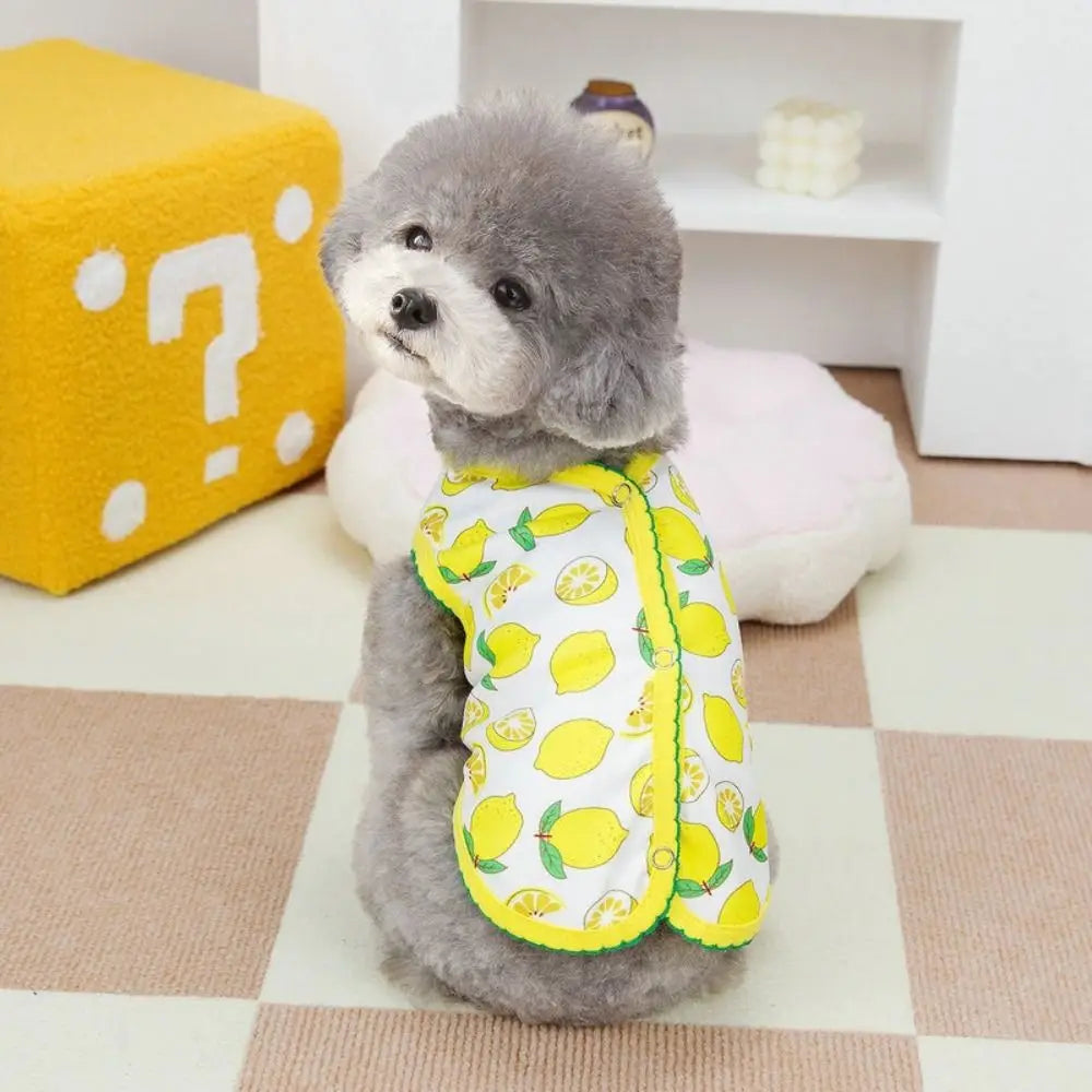Lightweight Dog Shirt
