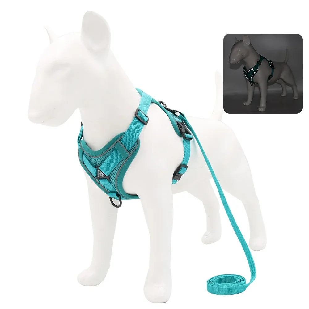 Adjustable Dog Harness and Leash Set