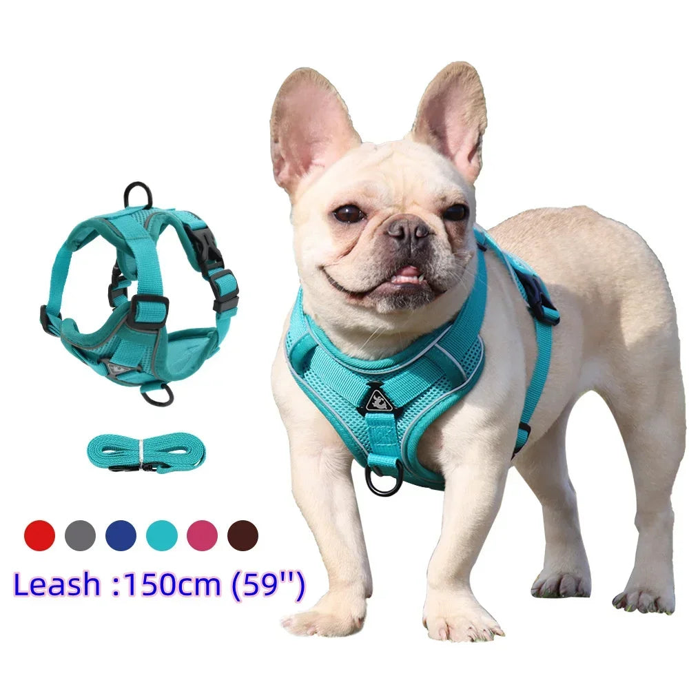 Adjustable Dog Harness and Leash Set