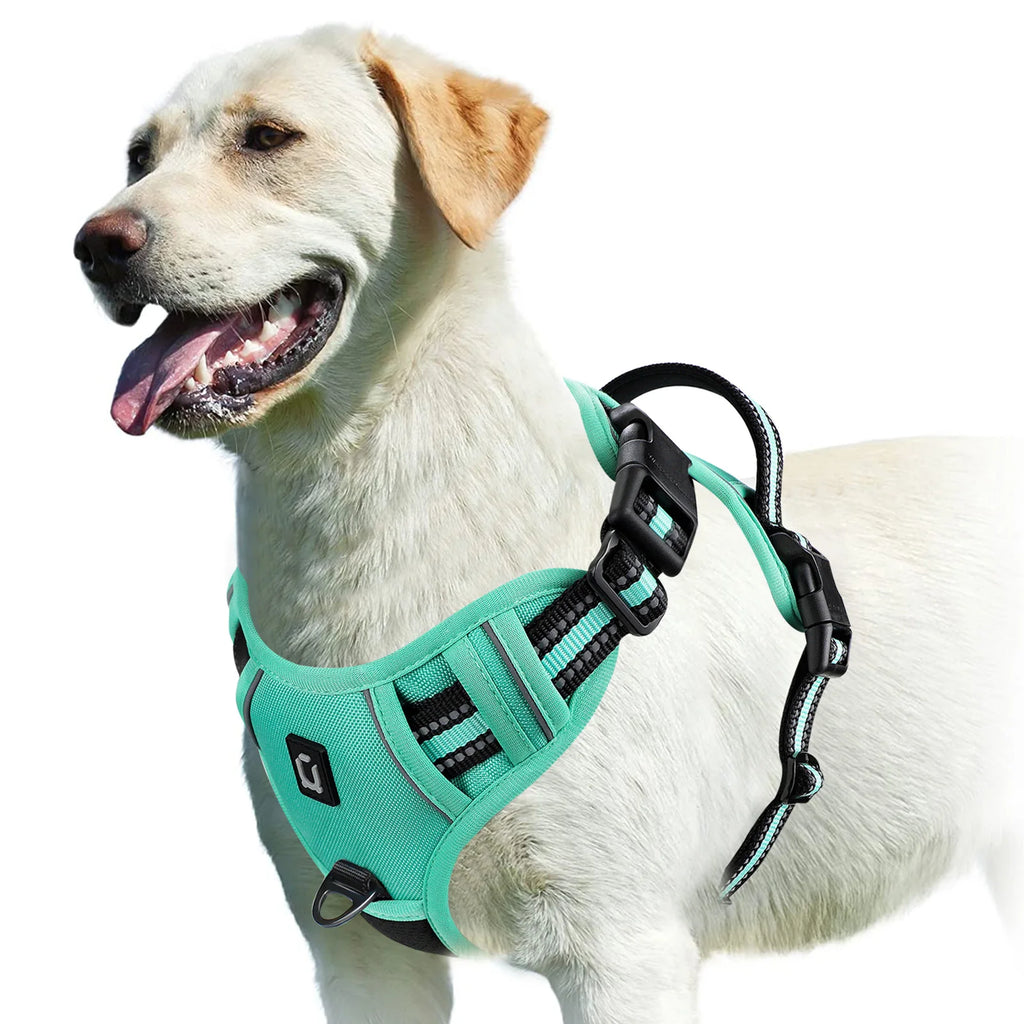No-Pull Adjustable Dog Harness with Handle