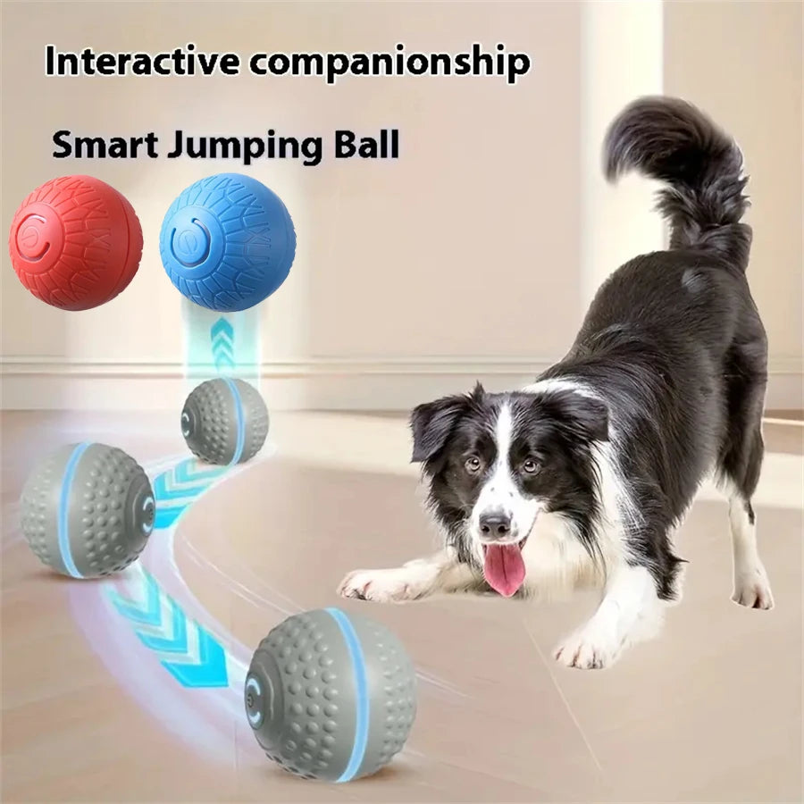 Smart Moving Dog Toy Ball