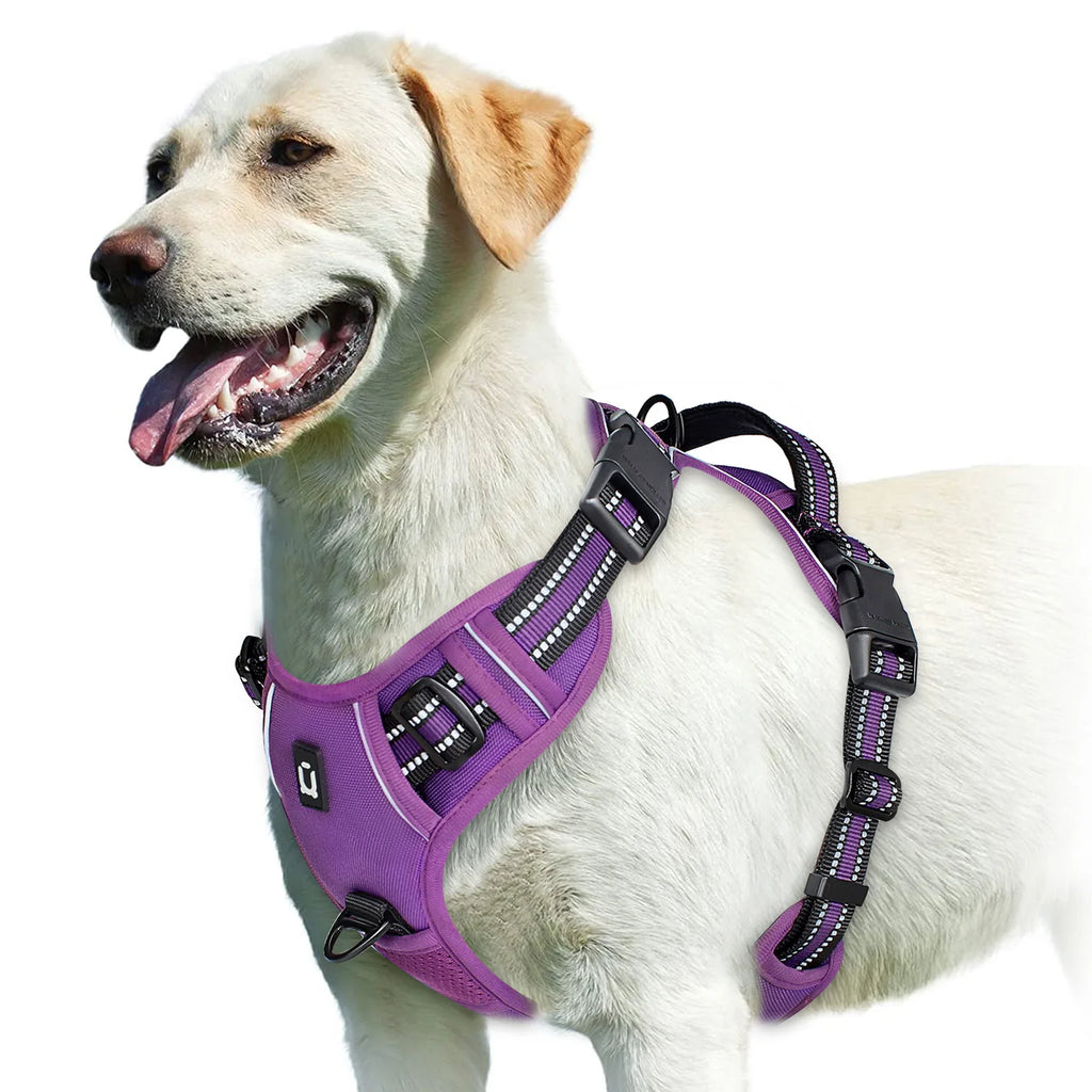 No-Pull Adjustable Dog Harness with Handle