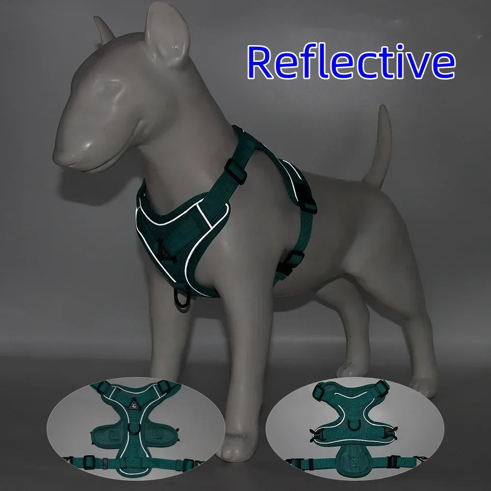 Adjustable Dog Harness and Leash Set