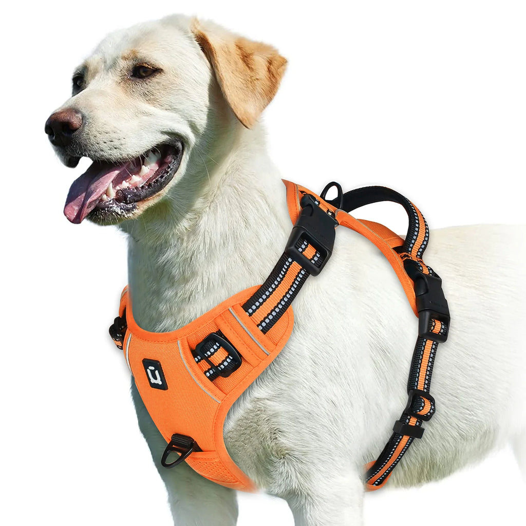 No-Pull Adjustable Dog Harness with Handle