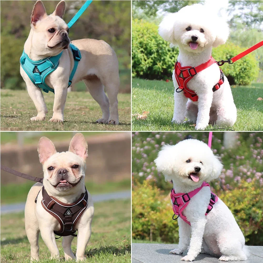 Adjustable Dog Harness and Leash Set