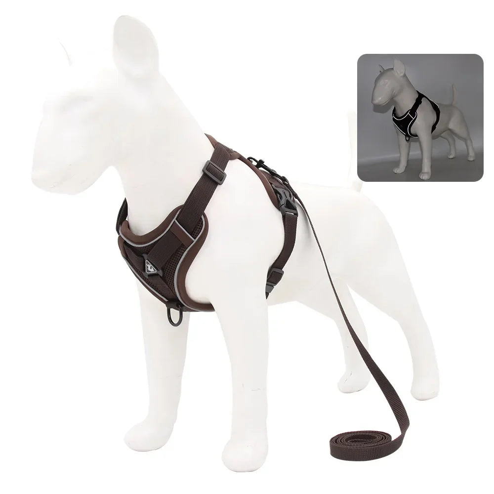 Adjustable Dog Harness and Leash Set