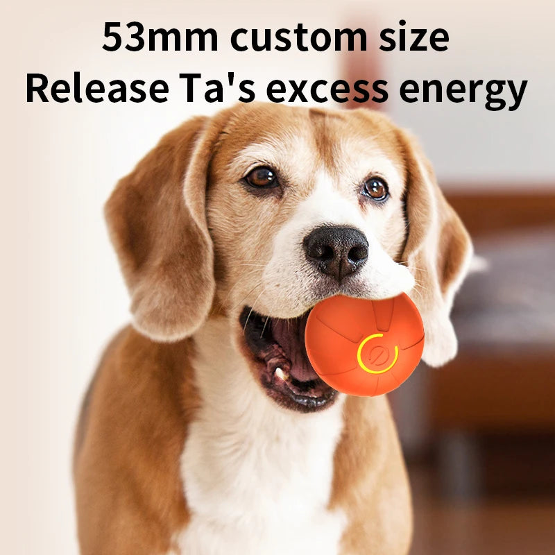 Smart Moving Dog Toy Ball