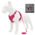 Adjustable Dog Harness and Leash Set