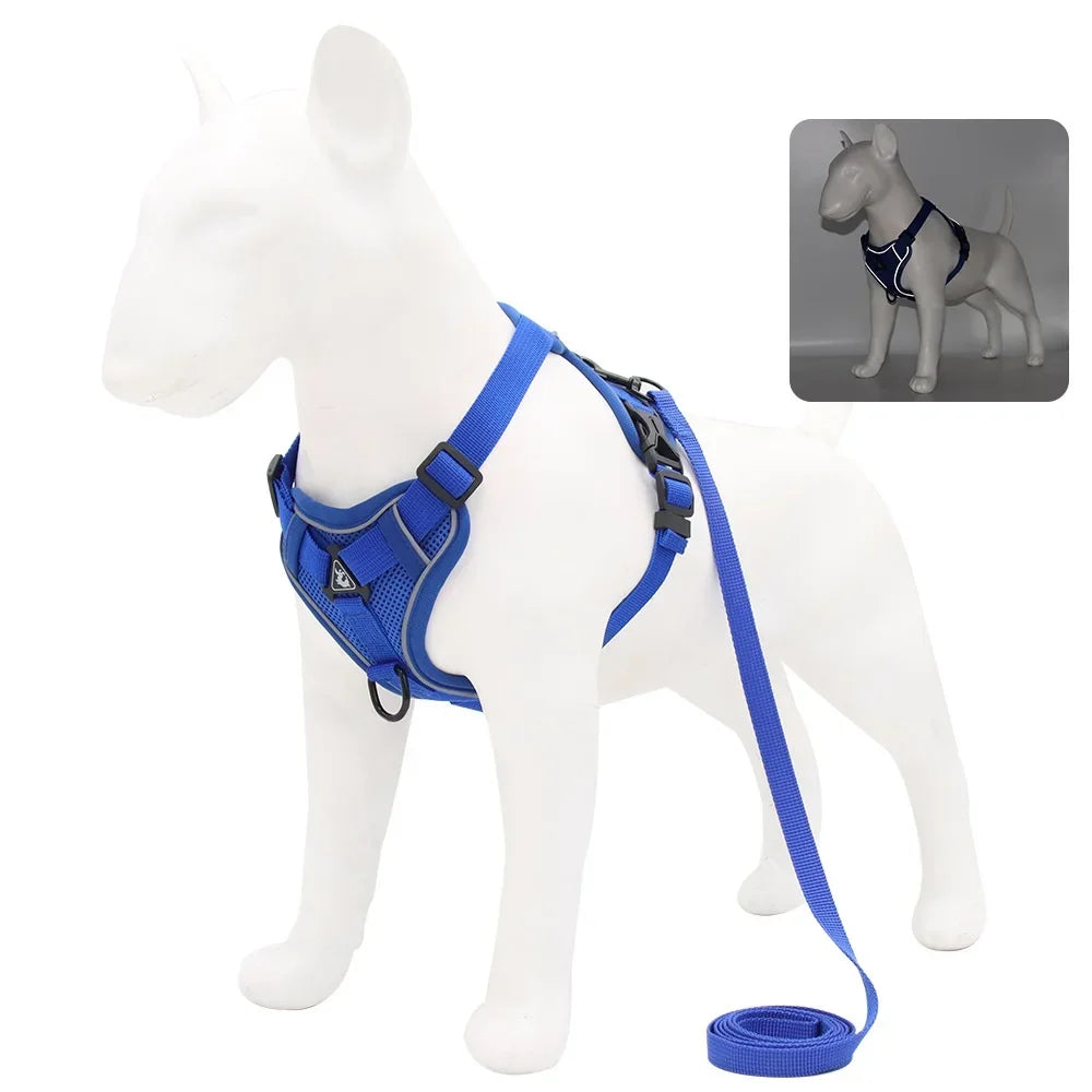 Adjustable Dog Harness and Leash Set