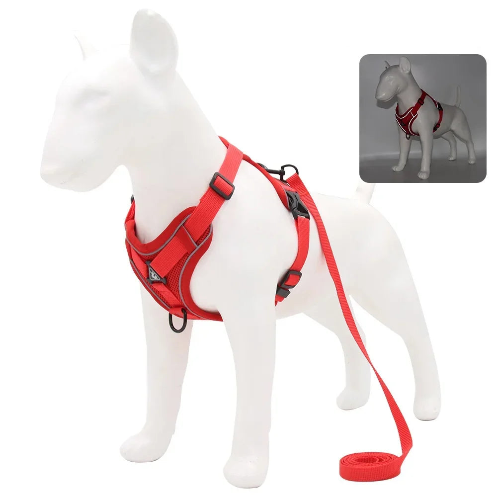 Adjustable Dog Harness and Leash Set
