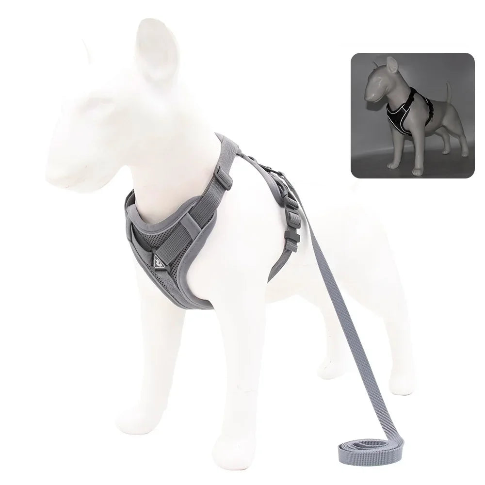 Adjustable Dog Harness and Leash Set