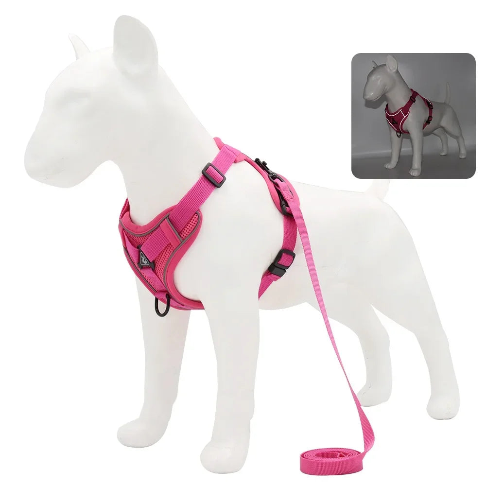 Adjustable Dog Harness and Leash Set