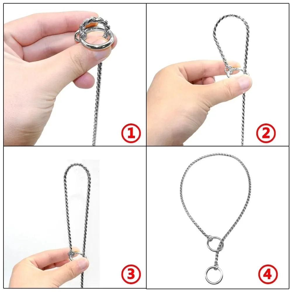 Stainless Steel Dog Slip Collar