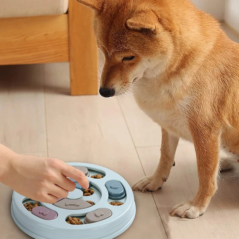 Interactive Slow-Feeding Dog Puzzle Bowl