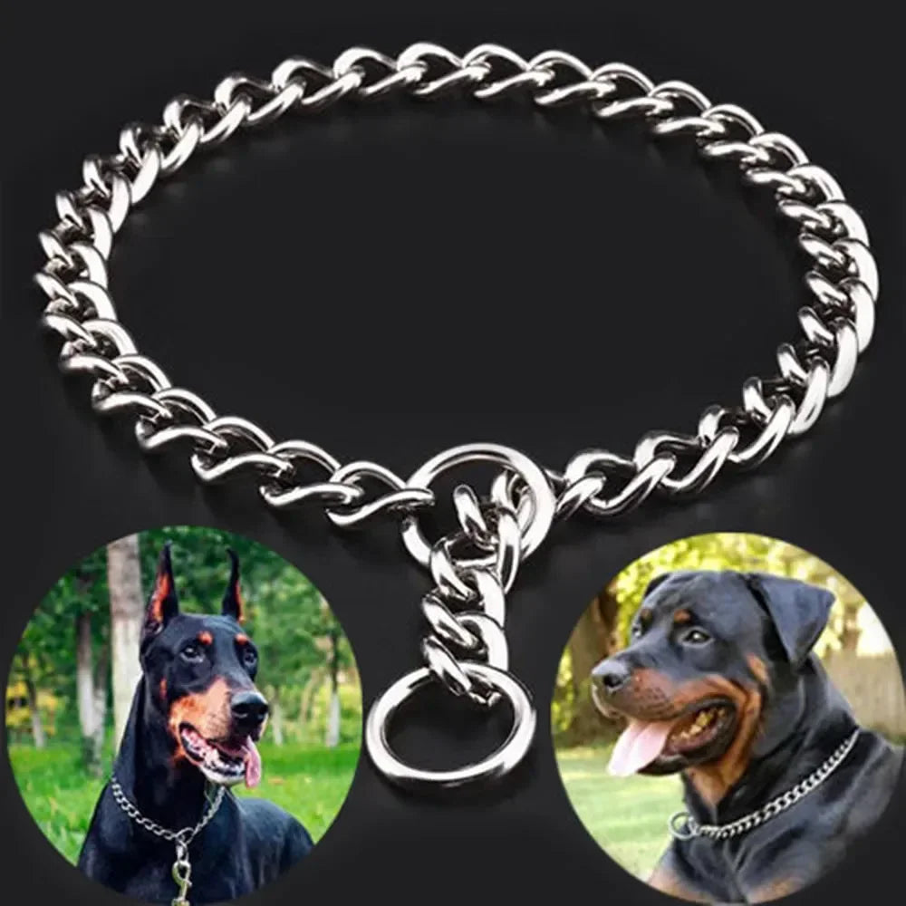 Stainless Steel Dog Slip Collar
