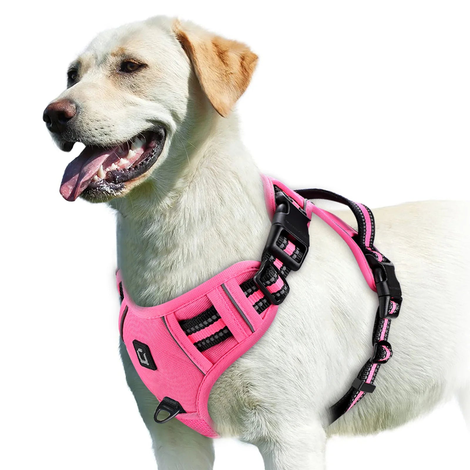 No-Pull Adjustable Dog Harness with Handle