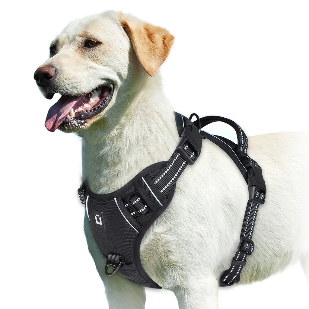 No-Pull Adjustable Dog Harness with Handle